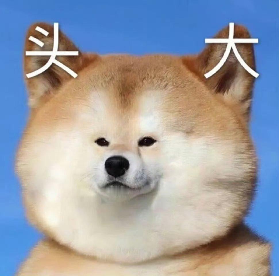 有的领导真的好让人讨厌，真的让人无语=_=