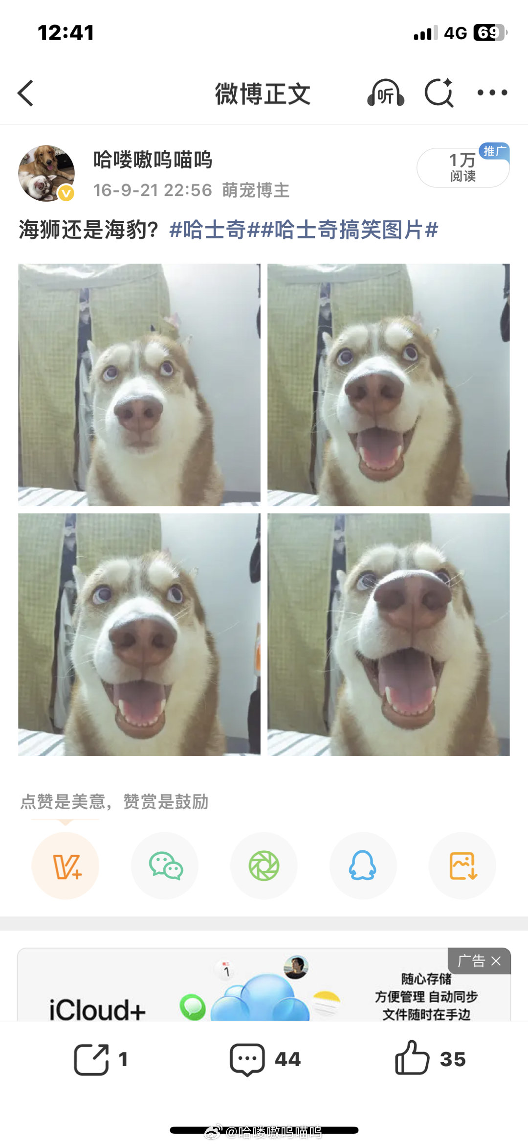 刷到这只二哈和海豹的合影瞬间想起哈喽没耳朵的海豹脸一看主页它也叫哈喽​​​