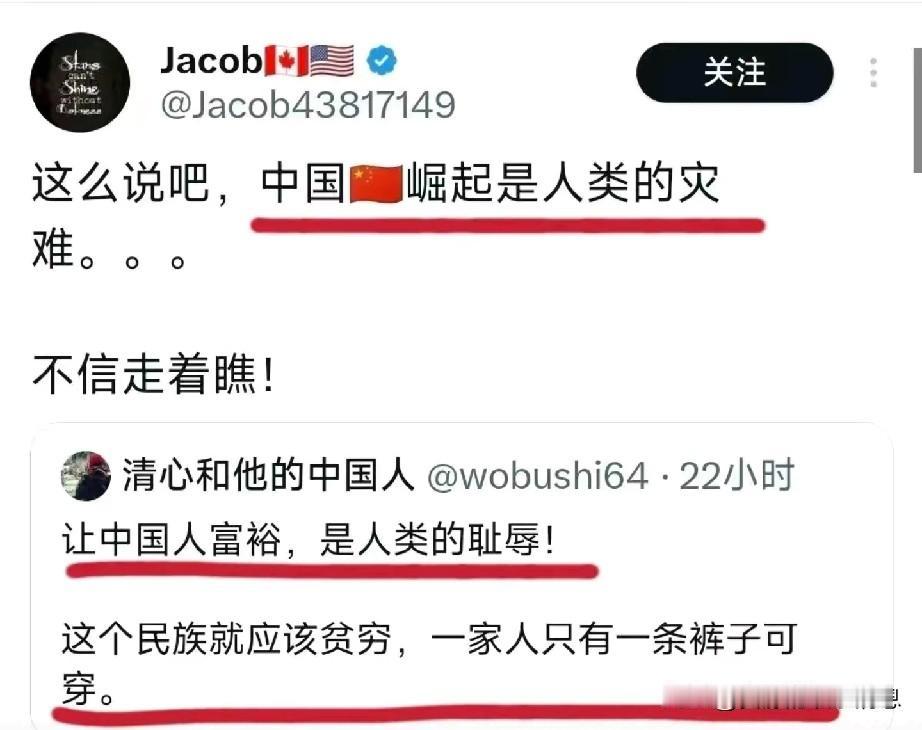 网友说东大润出国的人多数是恨国党员，而其他国家的人对自己国家的评价还不错，这个现