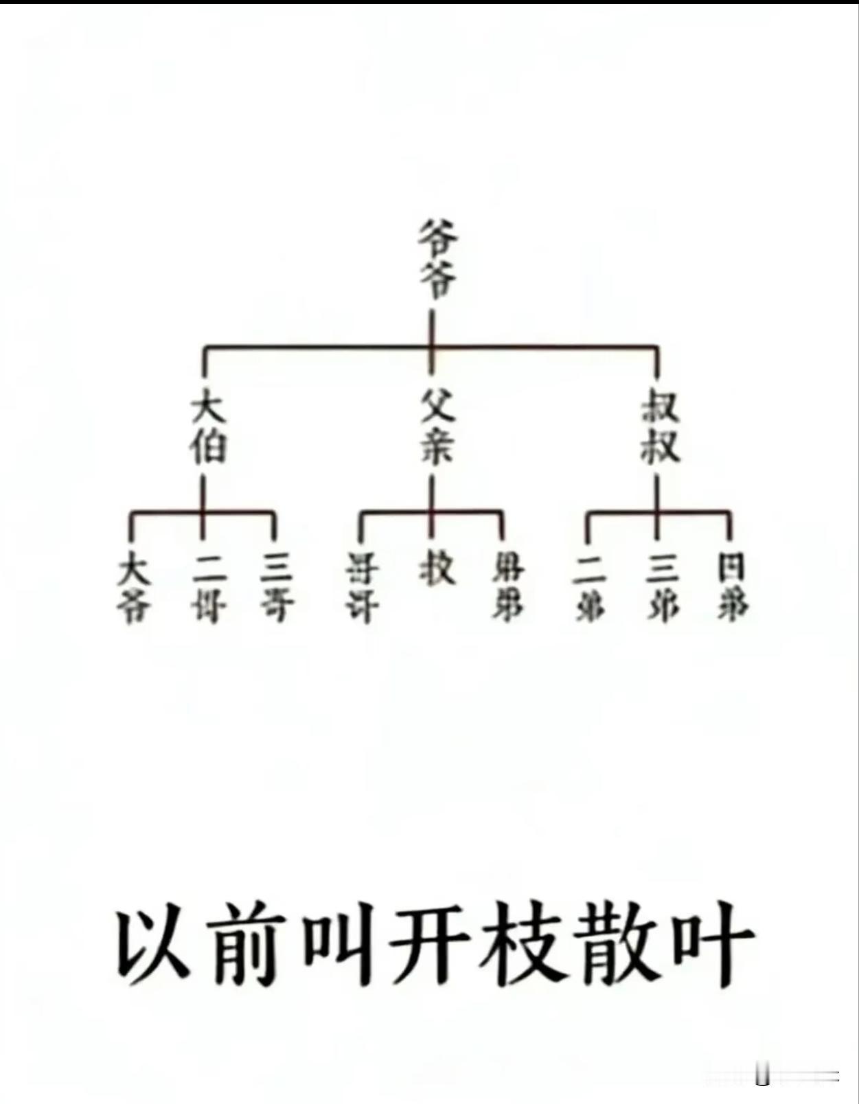 那现在该叫什么呢？