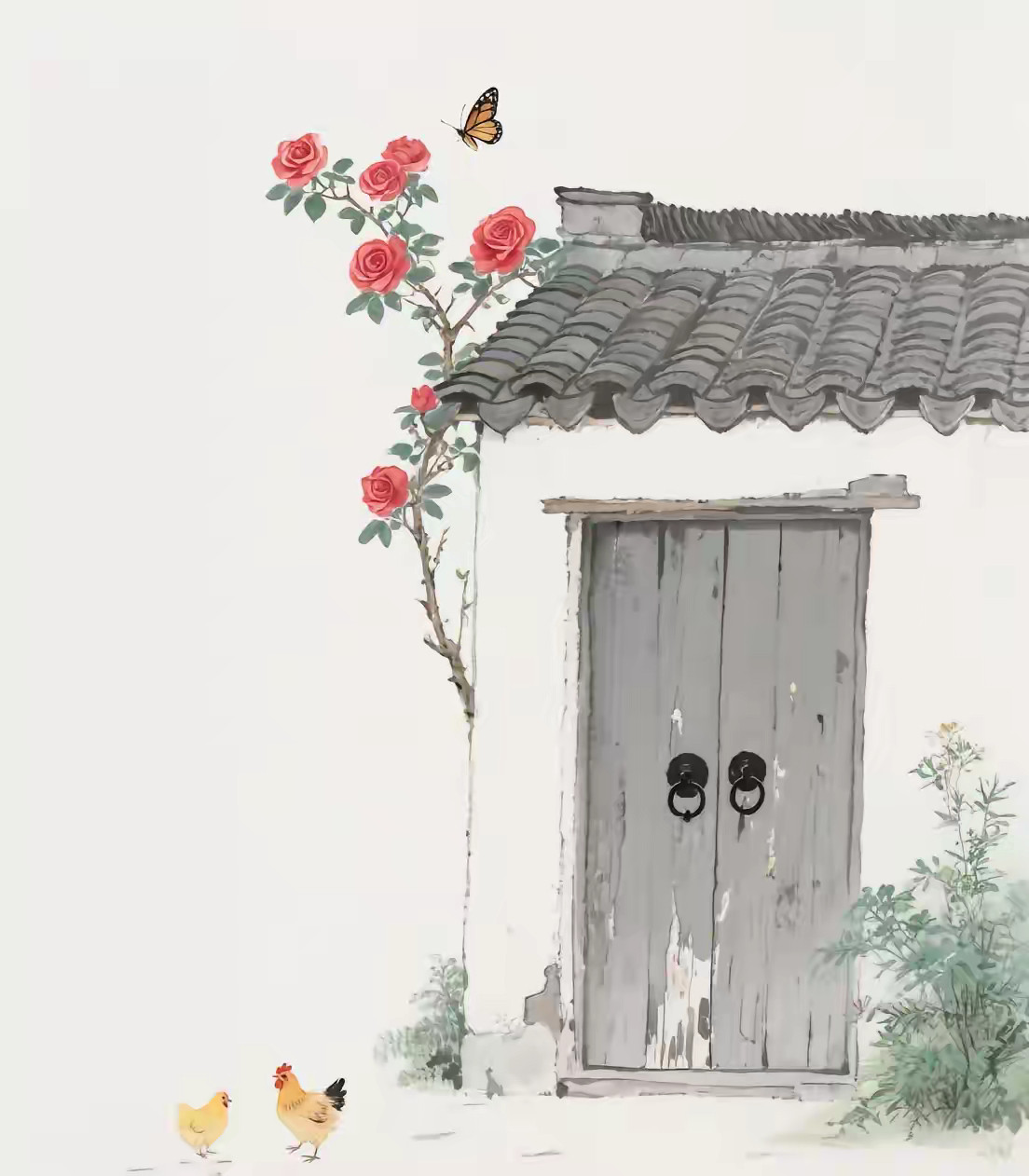 “人生其实非常短暂，不是每个人都能活到八九十岁，即便长寿，也要忍受衰弱和病痛。真