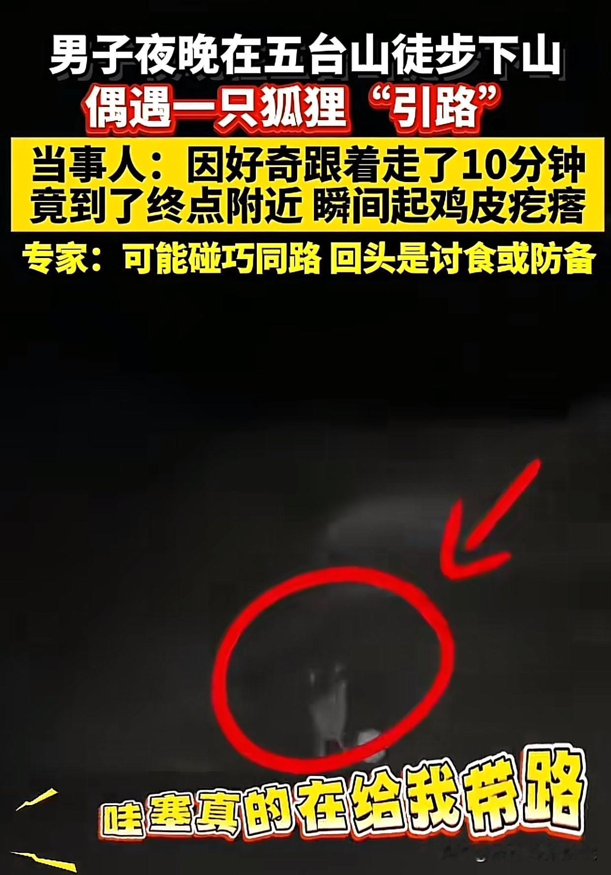 “太神奇了吧！”一男子在五台山徒步，下山时手机只剩30%电，充电宝坏了，手电筒也