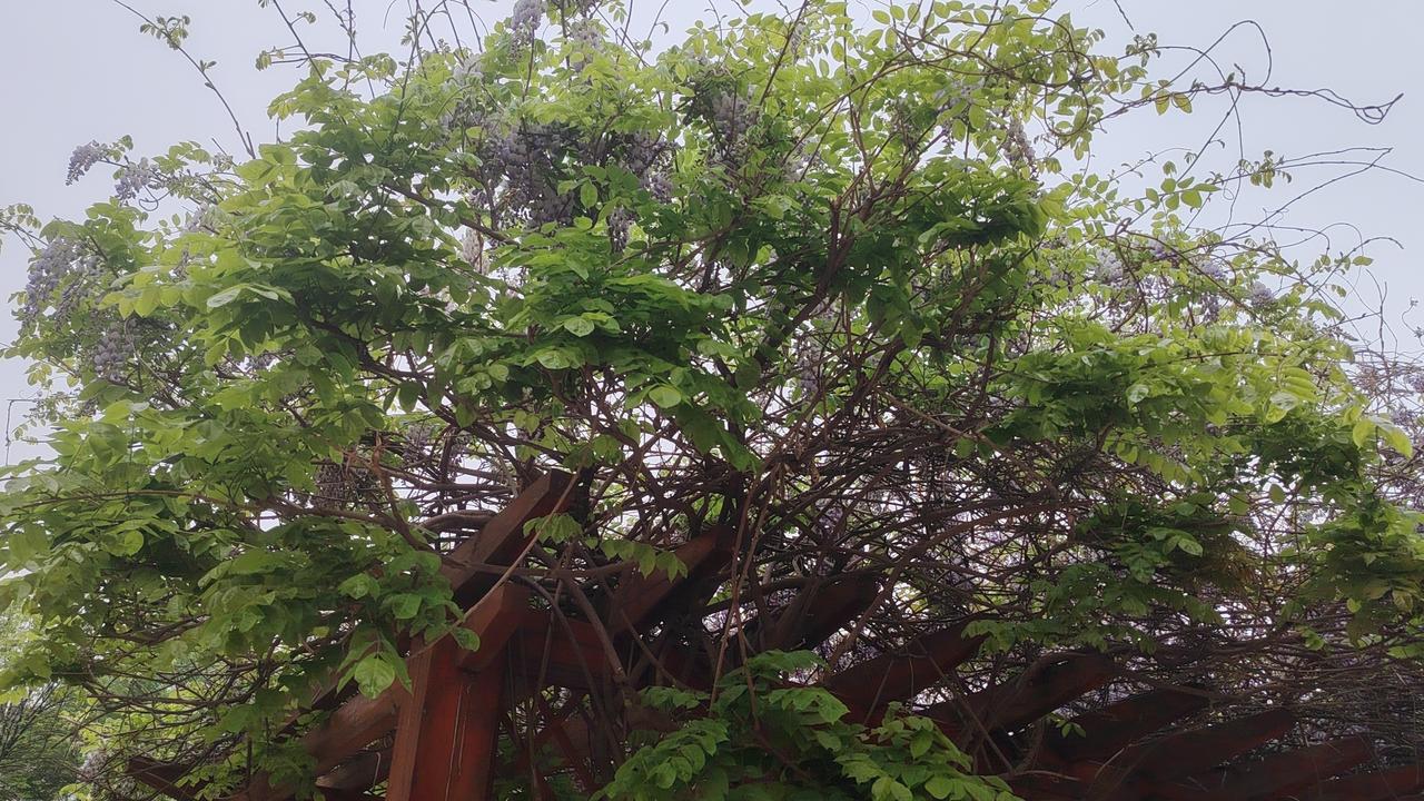 流水不争先，争的是滔滔不绝。两棵树苗种在院子里，一棵拼命长高，几年后就枯萎了