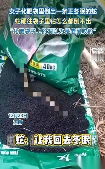 差一点。就差那么一点点。打火机的火苗，马上就要燎到化肥袋子的扎绳上了，突然，