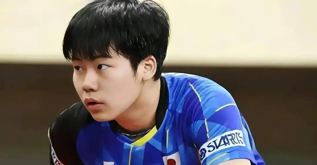 日本砸3亿日元“复制”樊振东，蝴蝶底板在中国卖断货。我们却在乒超拒绝日本外援，转