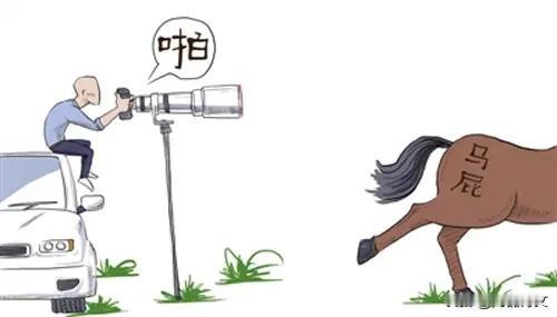 今年下半年，装修房子我买一点腻子粉，门店销售叫我周总，当时我就说我不是什么总，