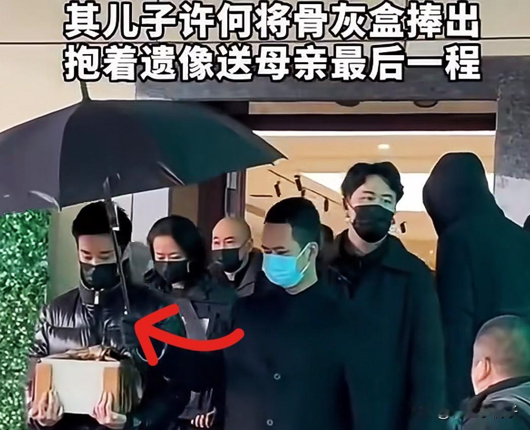 真没想到，何晴的儿子许何能说出这么一番话，看完心里挺受触动的。特别是提到陪母