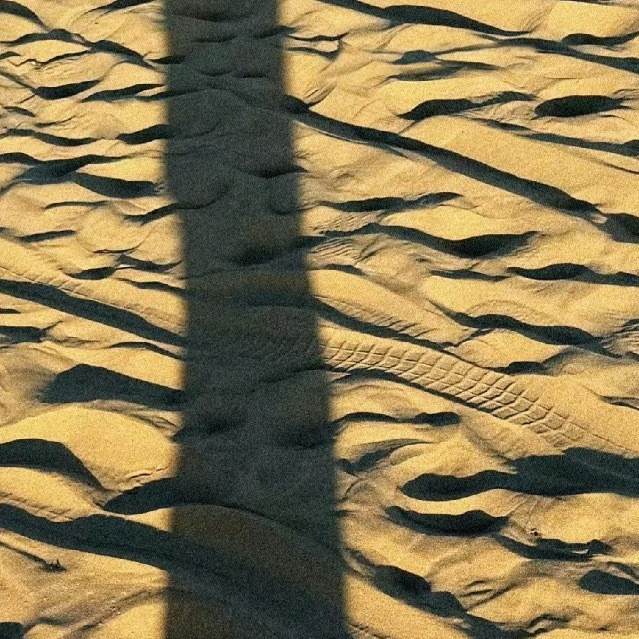 每日一善🐺阳光信用青春正能量，岁月蹉跎，不去珍惜，它只会荒废，一旦