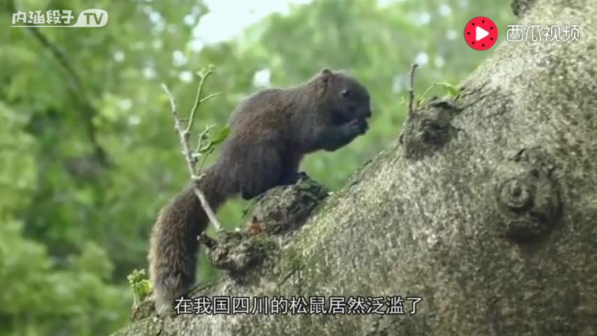 4772991243908245397.jpg?id=0