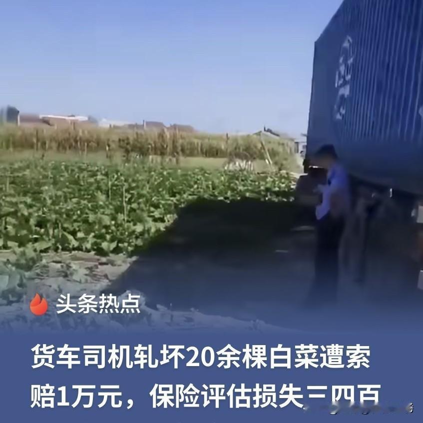 漫天要价落地还钱，这出戏码真在辽宁辽阳乡间地头上演了。一辆半挂大货车倒车掉头不慎压坏地头二十来棵白菜