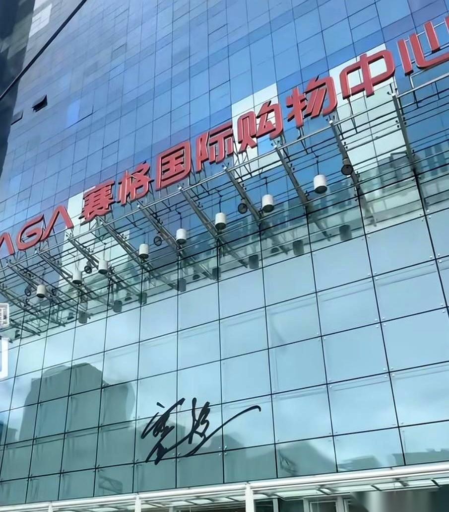 网上那些瞎猜西安赛格严总离世内幕的，真的可以消停了。根本不是什么豪门恩怨、资本