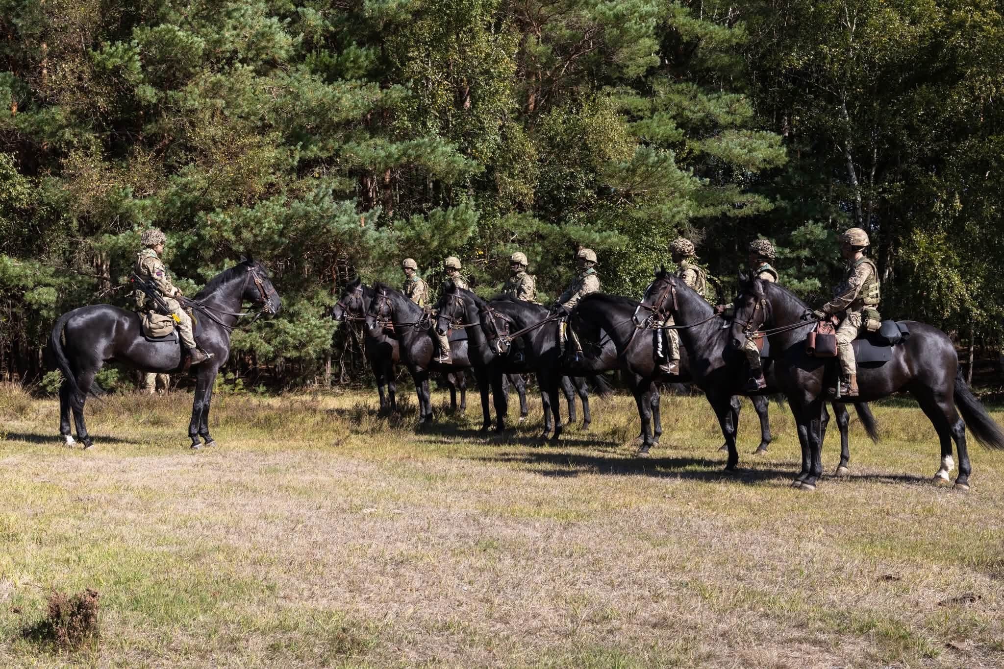 适应不断变化的世界——同时守护骑兵的传统。🇬🇧🐴#外军影像##军事科普#英国皇家骑兵卫队近日在
