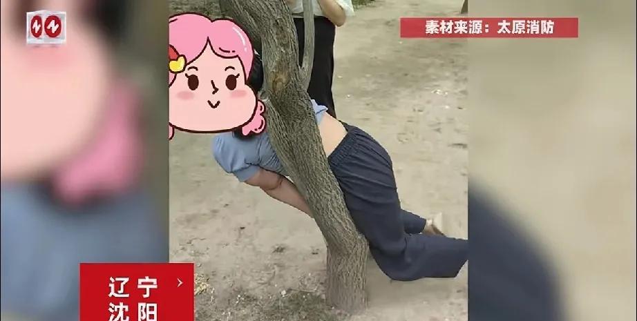 太尴尬了，一女子玩树，结果被卡在了树杈上，挣脱不得，这卡的有这么紧吗？最后，无奈