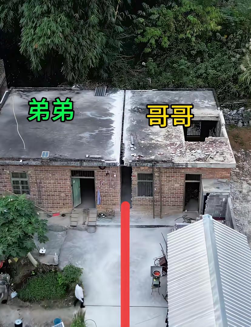 看到这个就真正明白了什么叫亲兄弟明算账！一奶同胞的七兄弟，有什么深仇大恨一定要