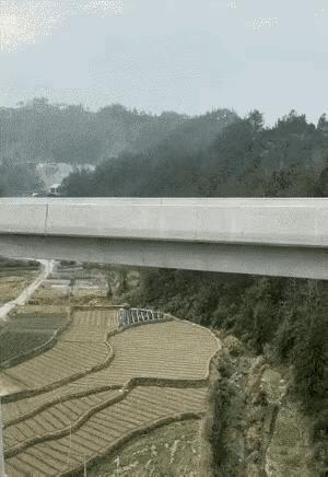 汪星人：我是啸天犬的秘密要藏不住了嘛？