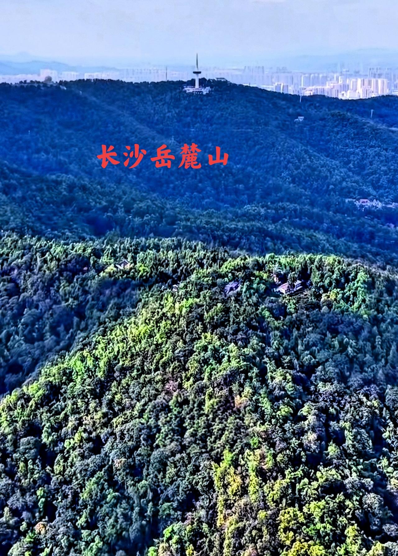 看一看长沙的岳麓山，其实岳麓山是一个好地方，尤其是岳麓山下方挨着长沙城区较近的地