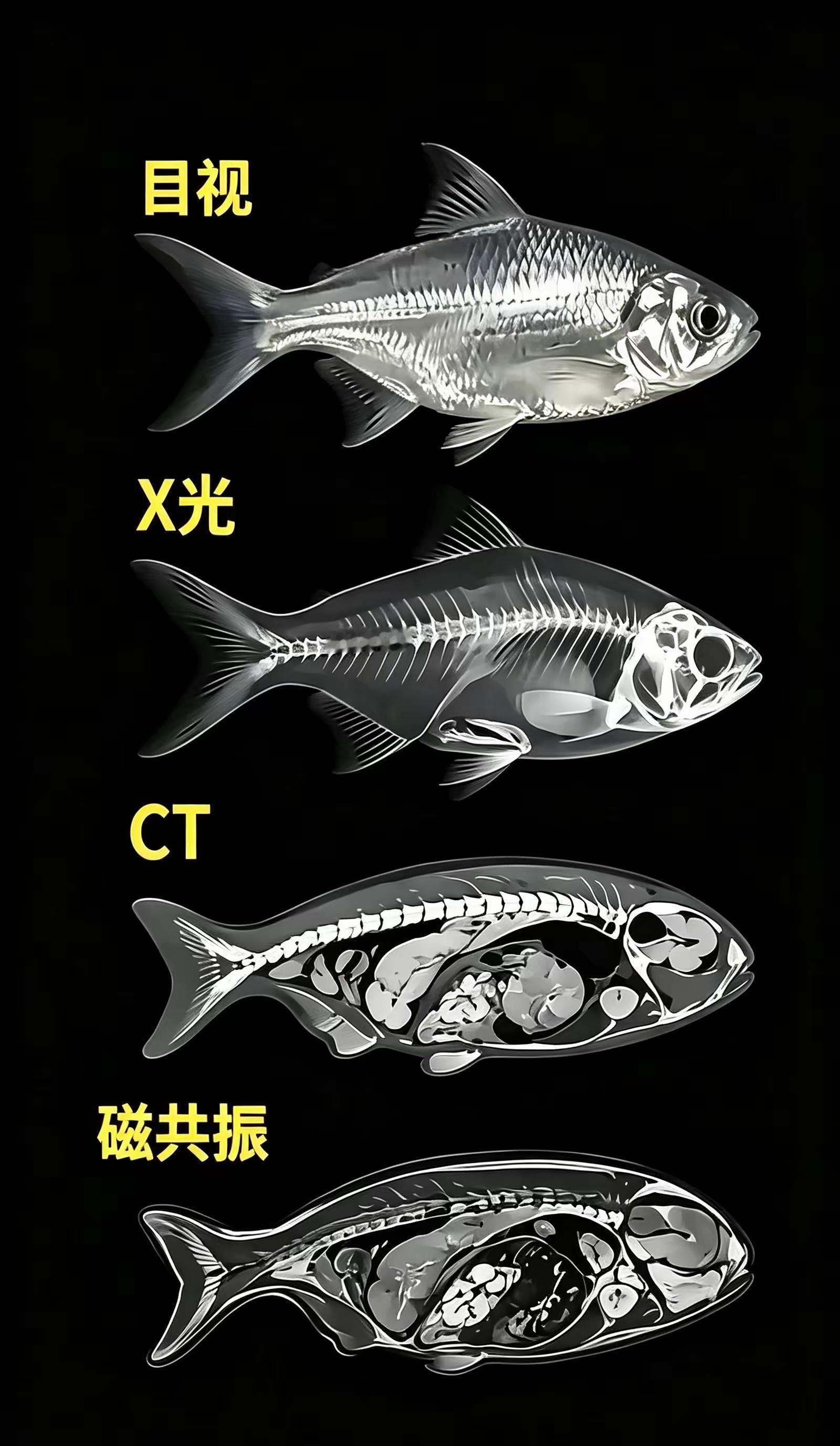 原来区别这么大