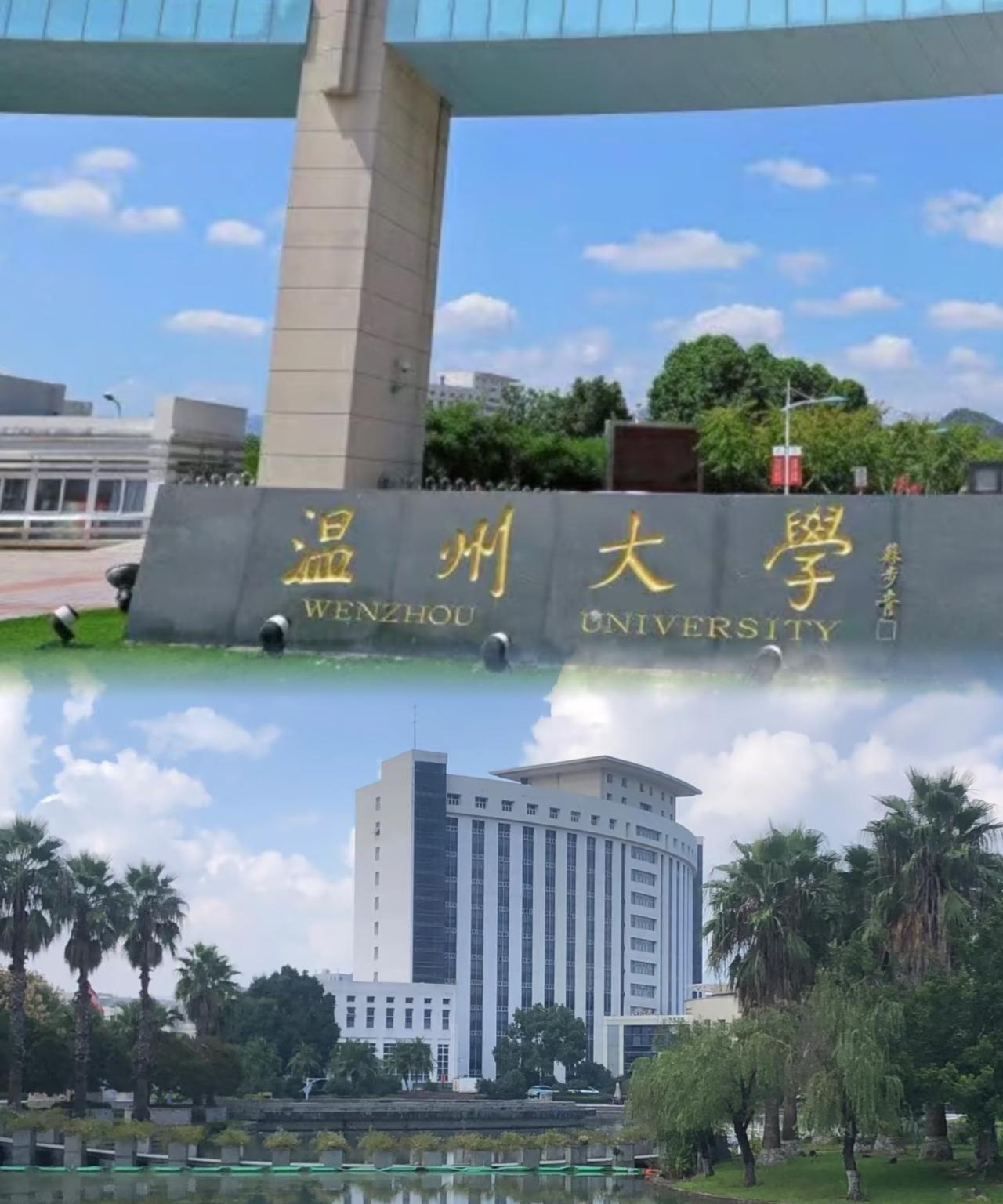 小姑子的大学录取结果出来了，本应该是高兴的事，家里却是死气沉沉的，原因是小姑