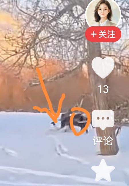 她坠马的时候，一只脚被马登挂住，随后，被马拖行，一下子被拉到了马肚子下面！马蹄狂