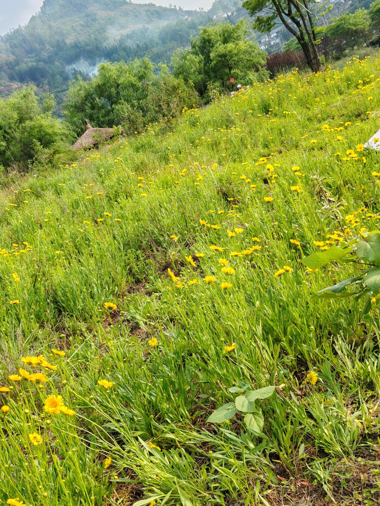 现在的A股，结构性分化，越来越严重，稍不注意，就很容易被套，特别是刚进入股市的朋