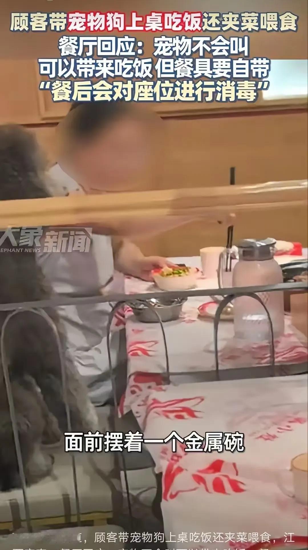 一女子带狗去餐厅吃饭，一些网友表示不敢去那家饭店吃饭，只是单纯不想去狗去过的饭店
