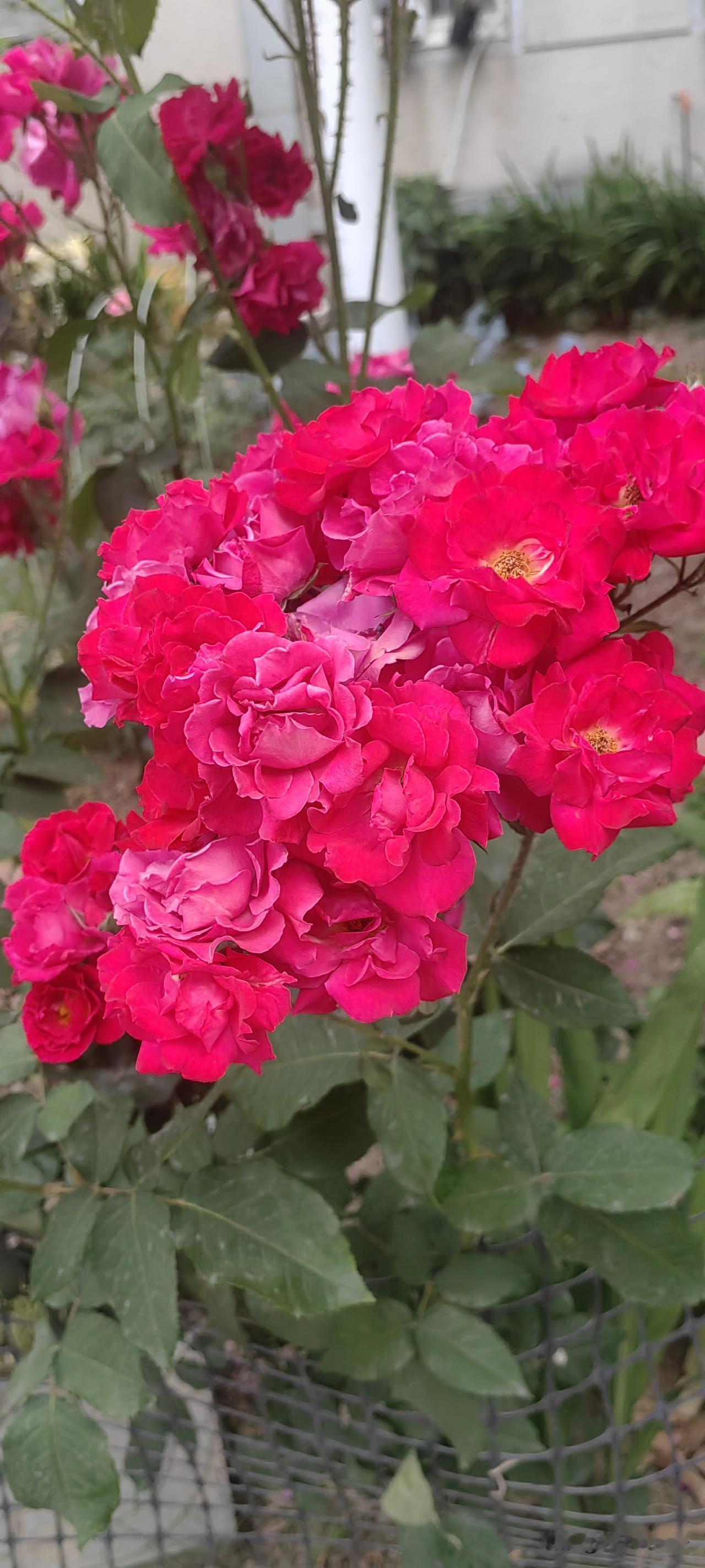 成年人的焦虑，其实都源于这3点，学会一招就能自愈很多人终日深陷焦虑，睡不好