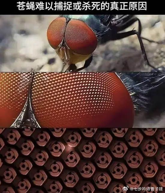 不能我一个人受罪