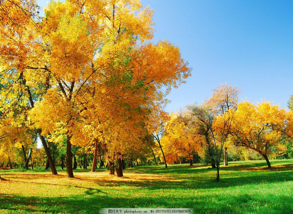 秋风知我意，随风寄相思。这一句古诗，仿佛一扇窗，开启了无数人心中关于情感的共鸣。