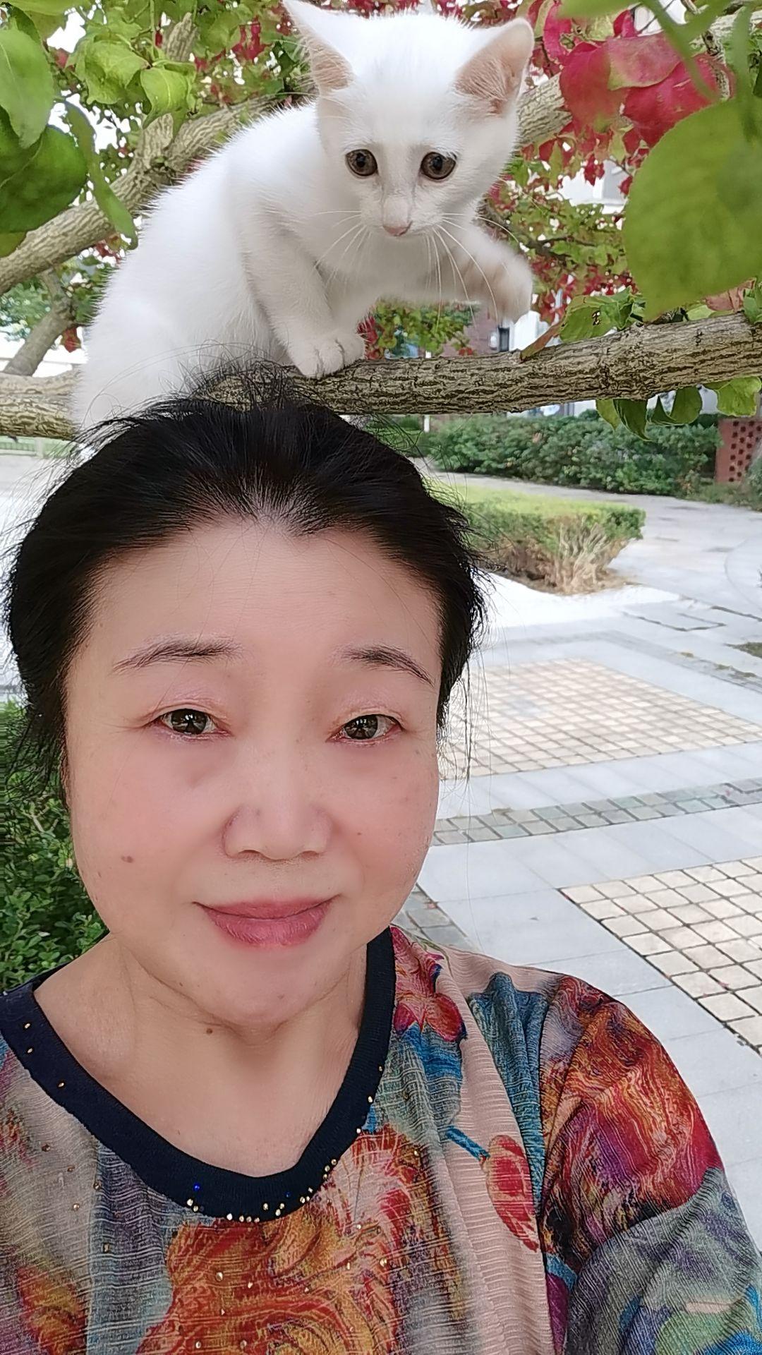 猫咪的日常