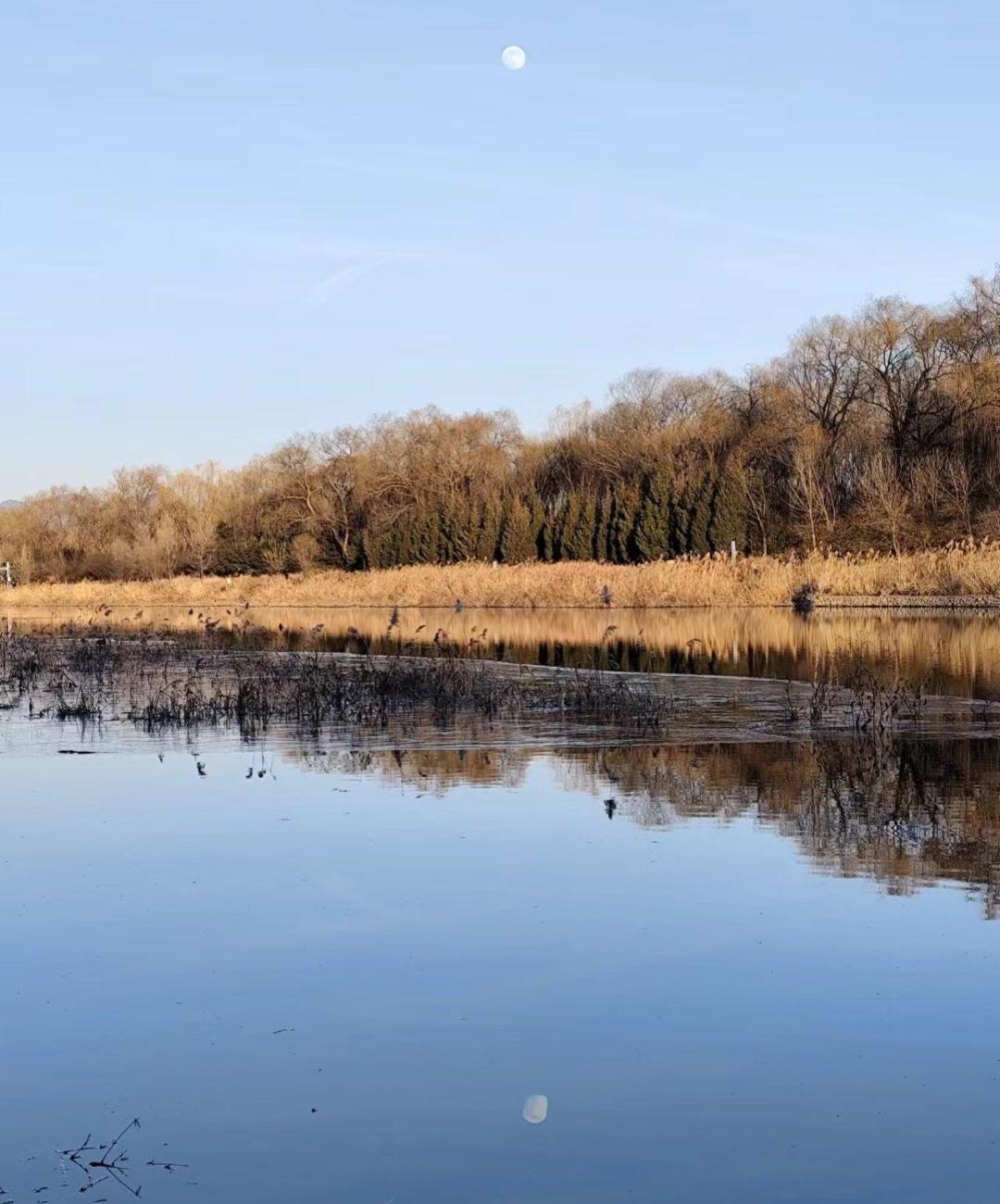 现在的孩子都怎么了？昨天接到一电话是多年未联系的老同学她说出了一件让我震惊