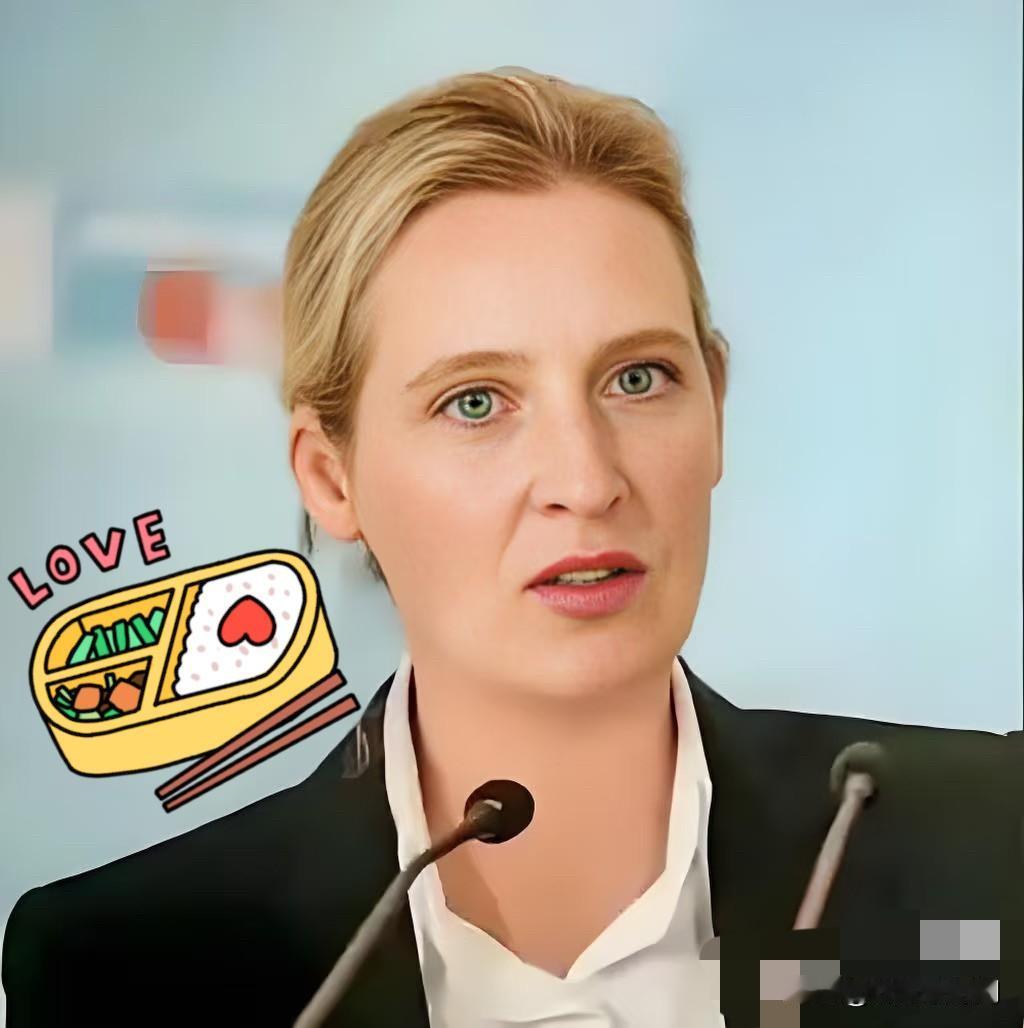 1月26日，德国选择党领袖爱丽丝·魏德尔称，“我可以明确告诉大家，待我们执掌政权