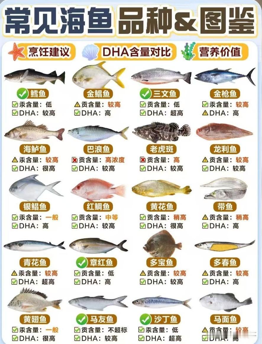 国内常见的海鱼品种和图鉴我国海岸线比较长，从北到南3.2万公里，渤海、黄海、东