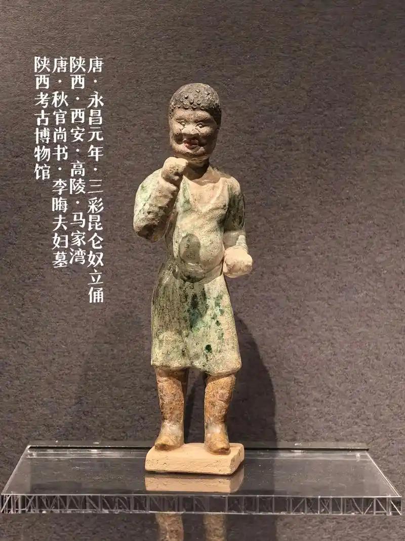 名为菩萨实为玩物？揭秘唐朝“三宠”：除了昆仑奴，最野的是它。你是不是只听过