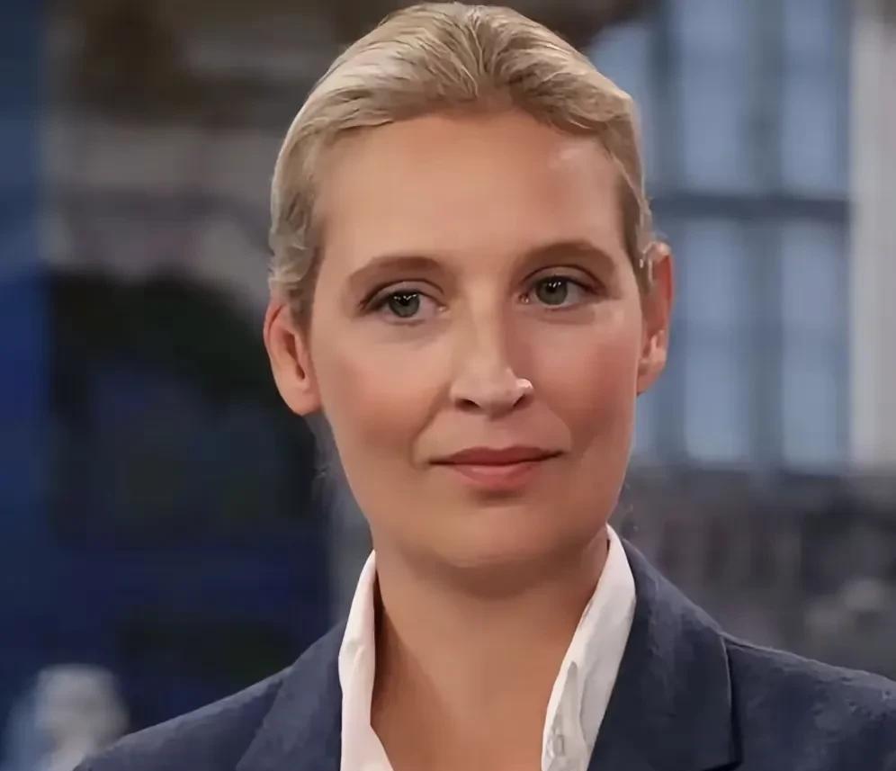 “她把中国机关的刷碗流程，都写进了德国议会的提案里。”魏德尔在东方大国一待