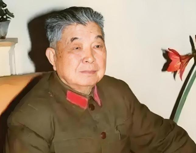 1953年，西康军区司令员刘忠，得知母亲和原配还在世，便携现任妻子回乡，当他看到