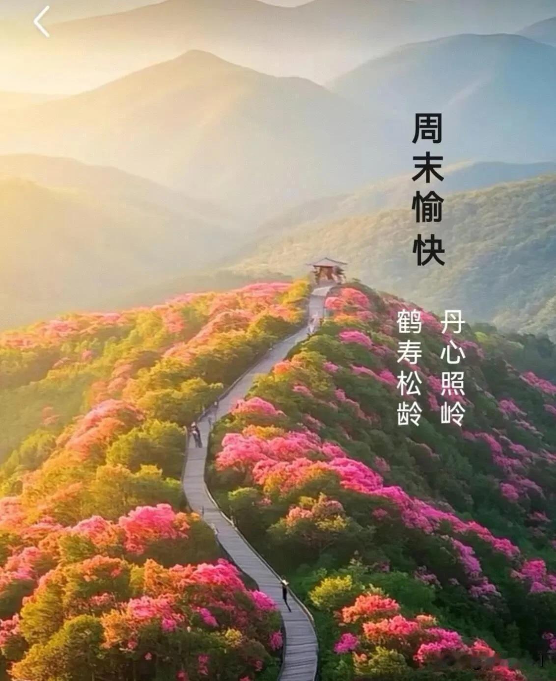 春日清晨，风轻云淡，愿美好不期而遇，温柔如约而至，早安。