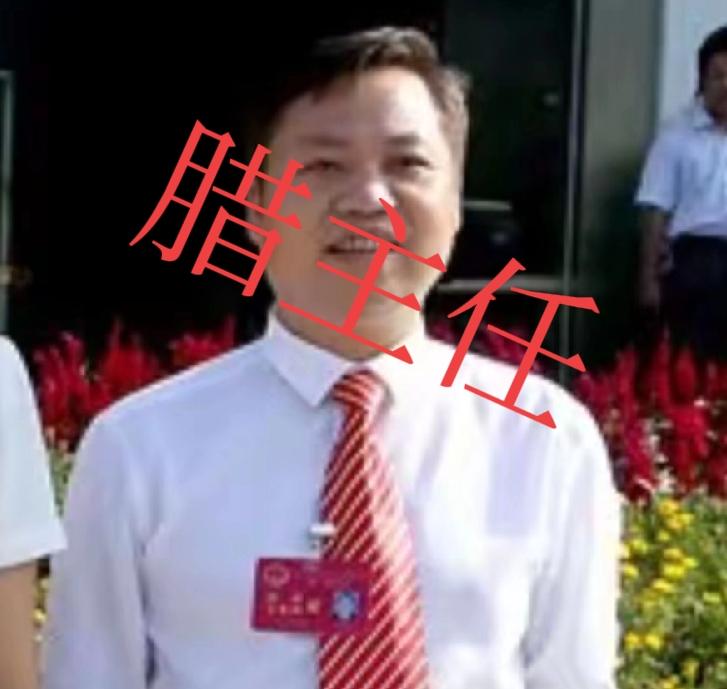 腊主任、农主任、谢书记，都是一表人才，年轻有为，目测年龄也不大，40岁左右，在县