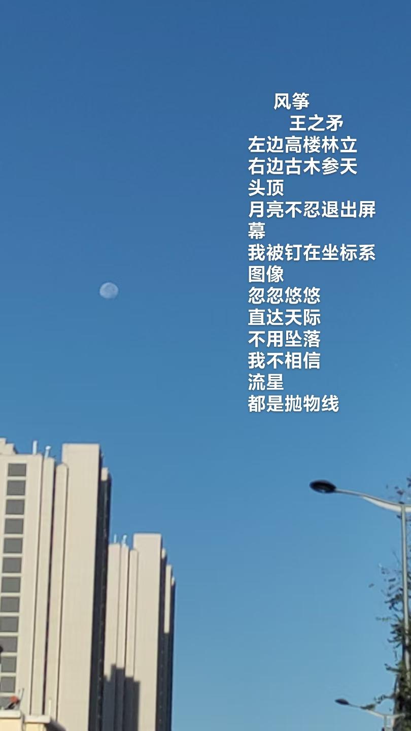 早上，看了一些文学方面的视频。发现几十年前的困惑又浮现了：文学，乃至文艺，给我们