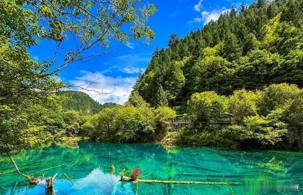 翠湖映尽青山，碧水漫染九寨沟～