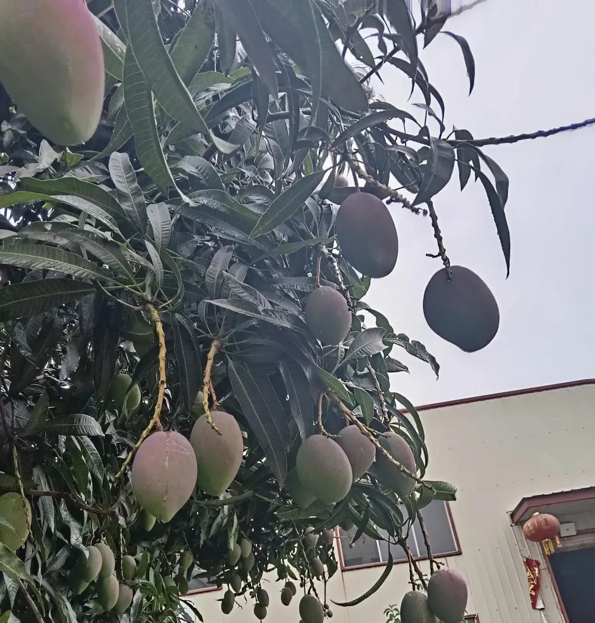 43岁表哥新婚俩月就怂了：“还不如单身痛快！”当初看他给二婚嫂子忙前忙后置办家