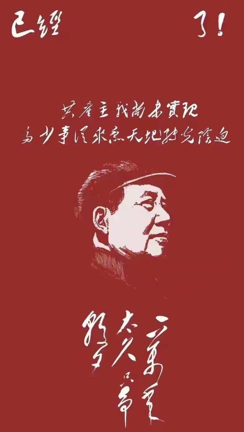 实战是检验真理的标准，修正主义的泛滥意味着社会性质的倒退。它惯于通过否定革命、消