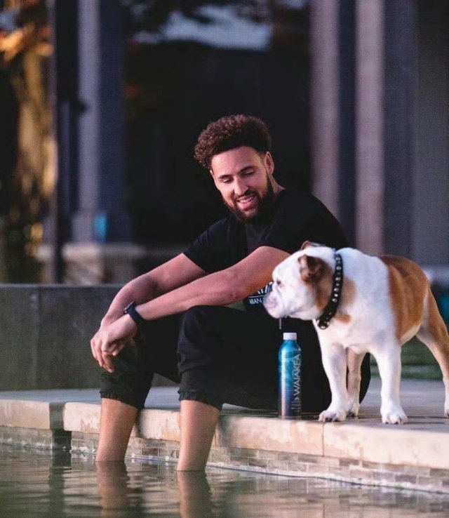 汤普森爱犬接受安乐死克莱汤普森的父亲在节目中表示，克莱的狗狗Rocco已于上周