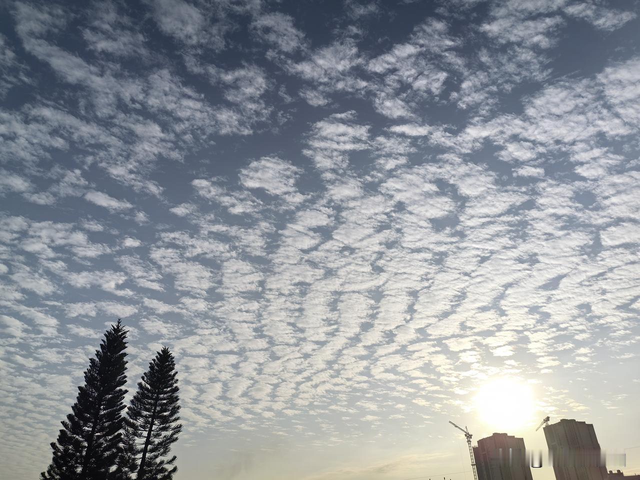跨年强冷空气将横扫南北方，大范围雨雪天气即将开启！广东新年第一天将迎冷空气，