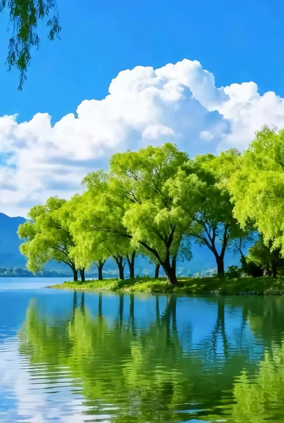 北方的春天，风大、干燥、温差大。养生不用花哨，做到这几点就够稳。春捂别急脱