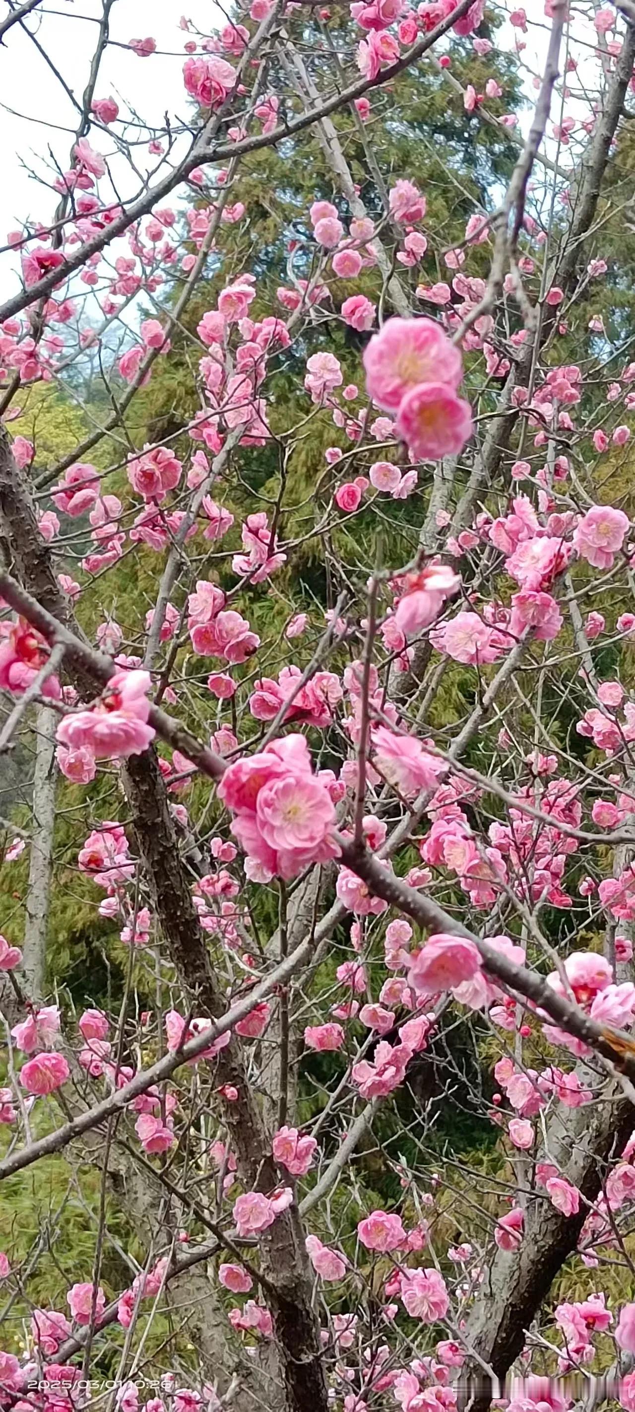 晚上，我在辅导儿子写作业。老公站在阳台上叫我的小名，悄悄地说：“你过来一下。”