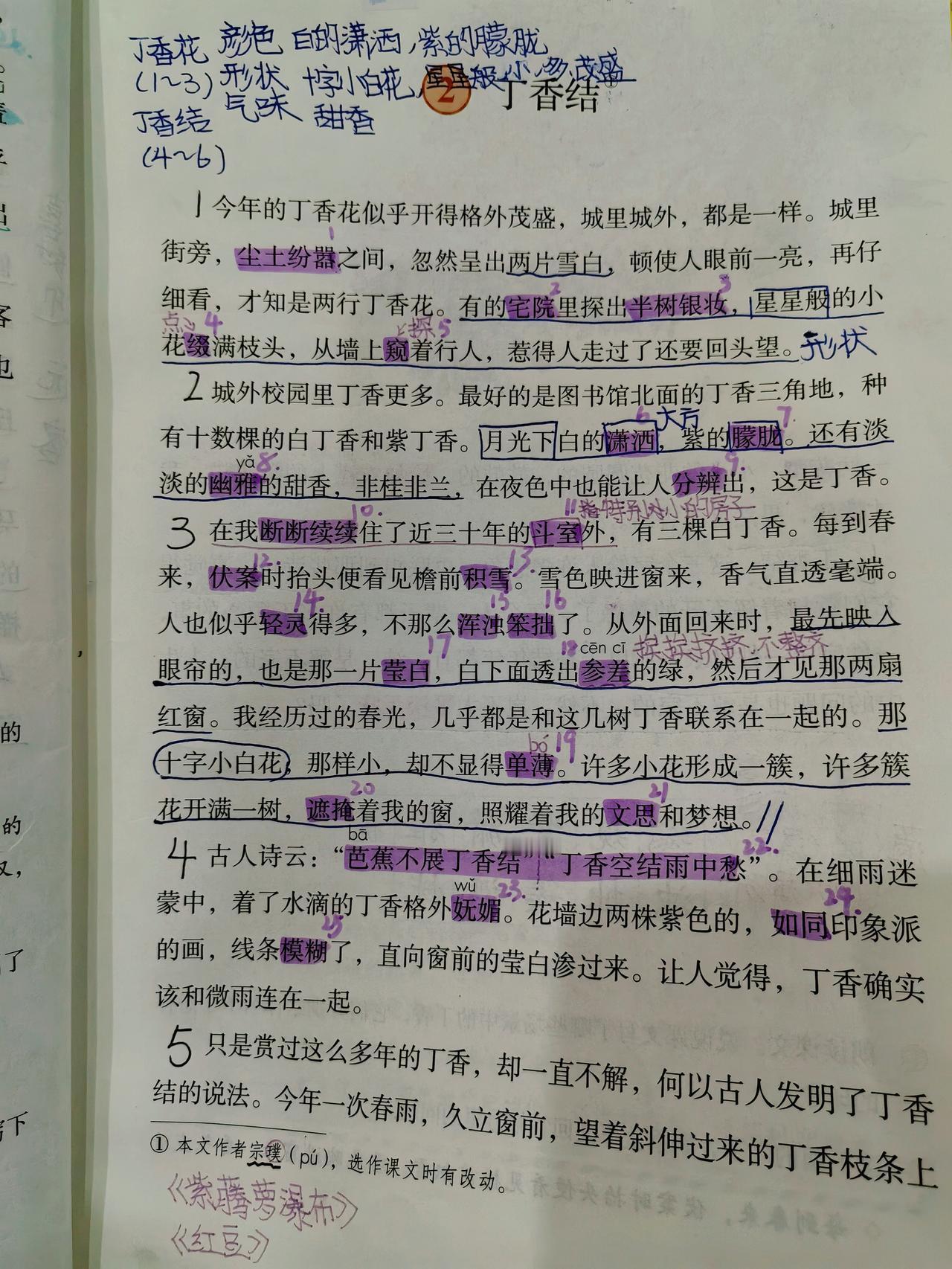 周四，无作业日，风吹来自由的味道。琪同学扒几口菜，就和同学赴约玩去了。