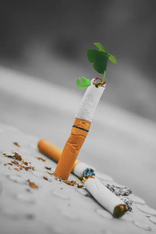 想戒烟却戒不过三天，太正常啦！我之前也这样。烟瘾这东西，就像个难缠的小妖精，时不