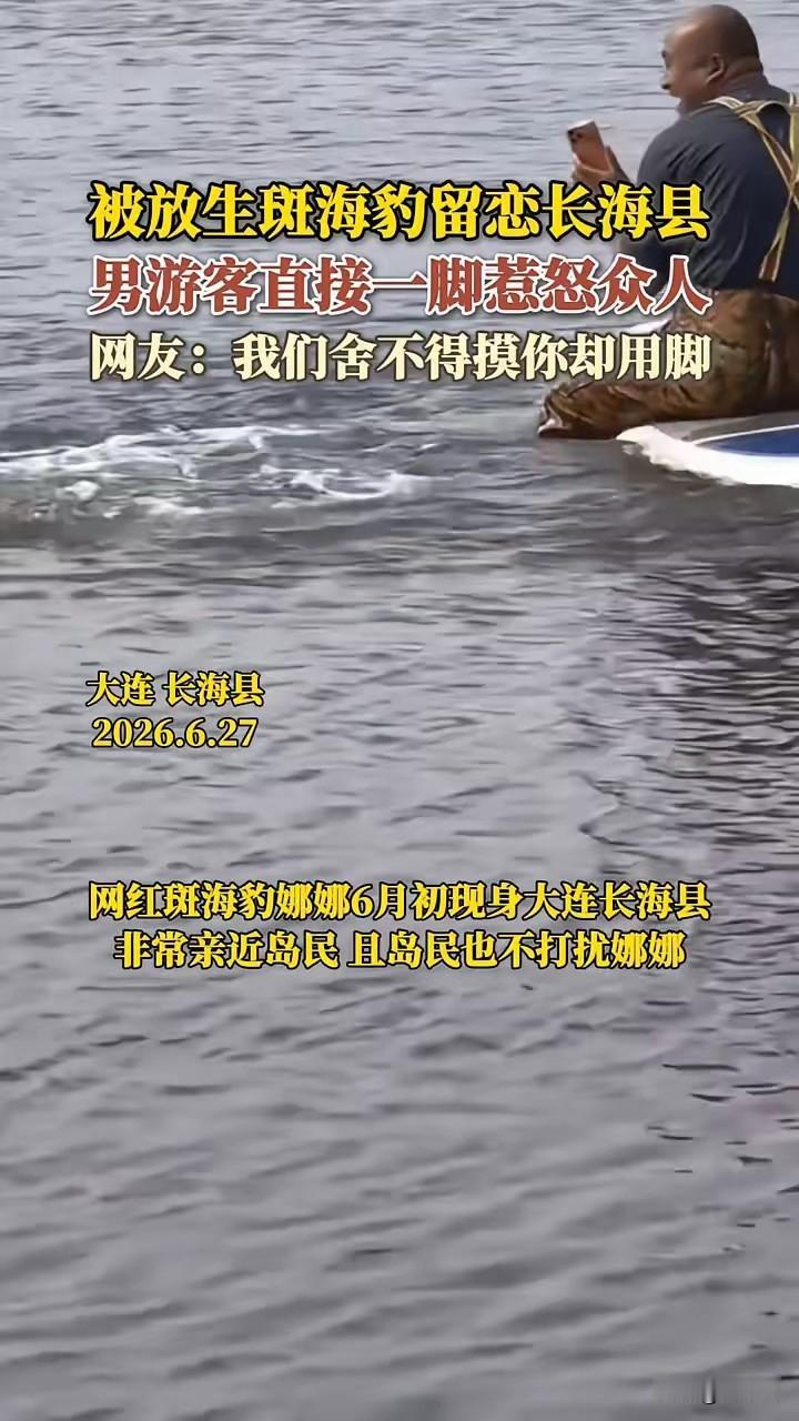 我们大连人很认真的保护广西朋友送来的礼物！当年广西发现了一直不知道怎么迷失方向