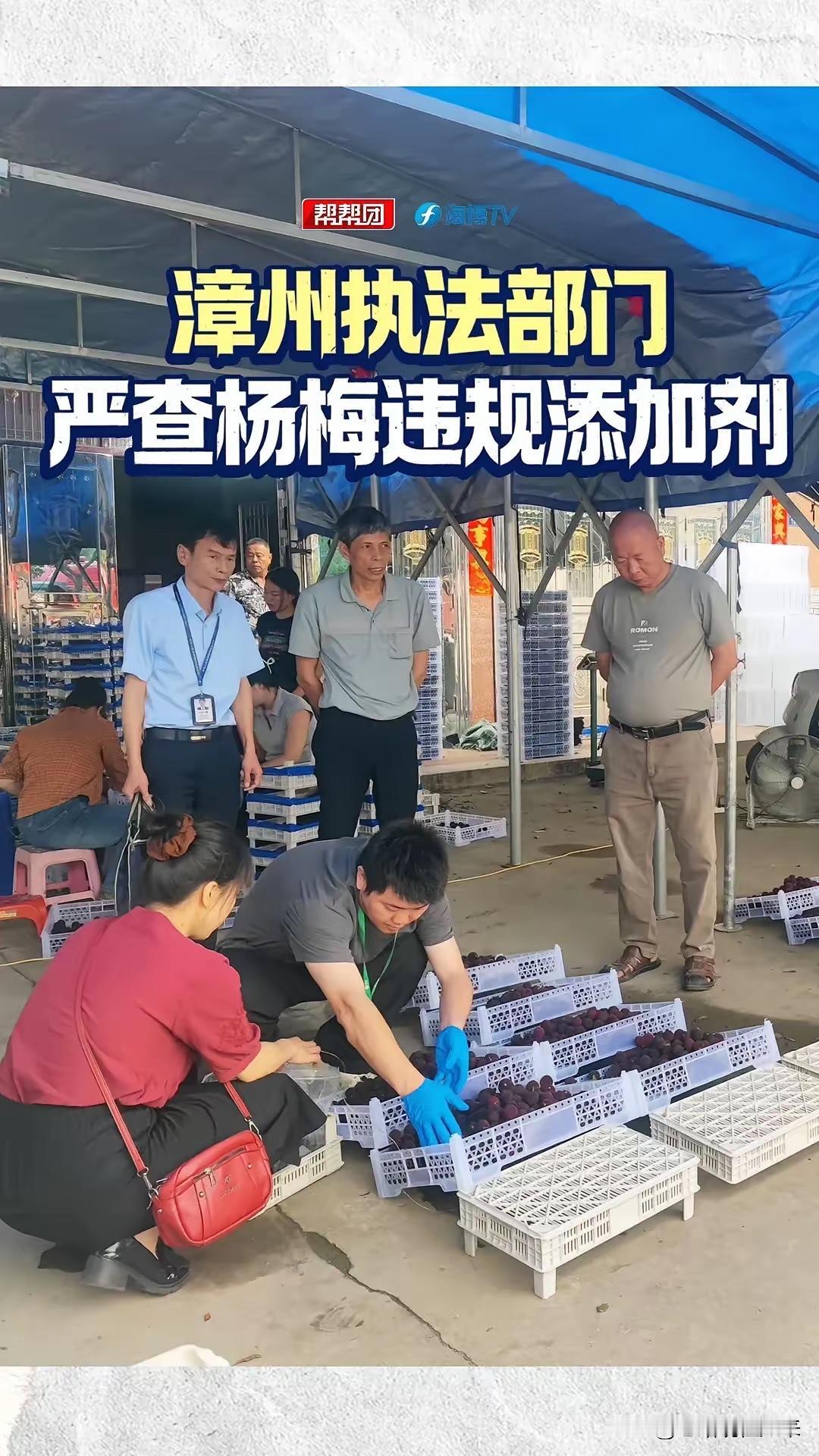 彻底翻车！漳州杨梅黑幕被扒：全员泡药水，商贩自己一口不吃每年初夏，杨梅都是大