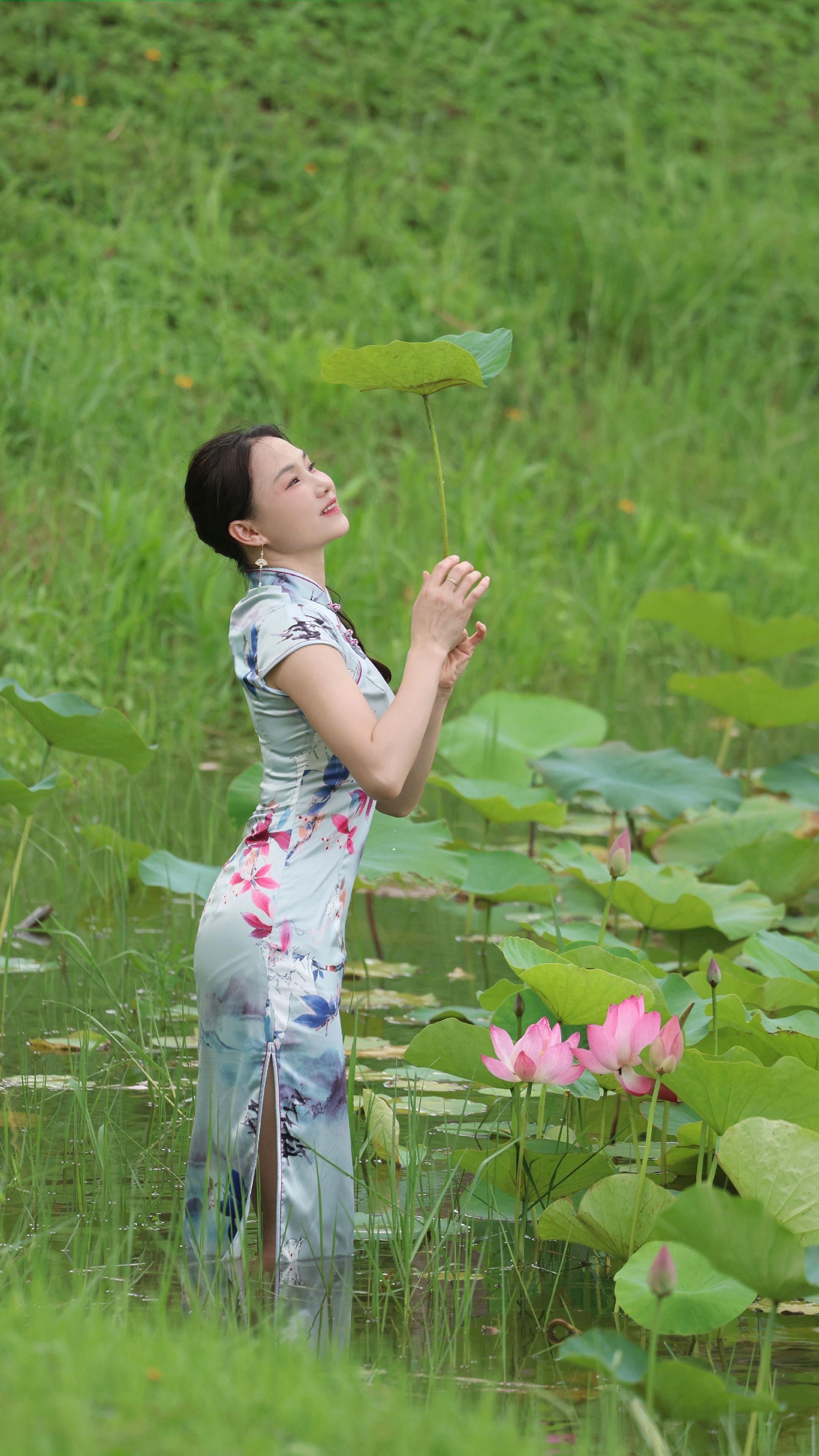 旗袍美人 荷塘美景 穿旗袍的女人最美 摄影
